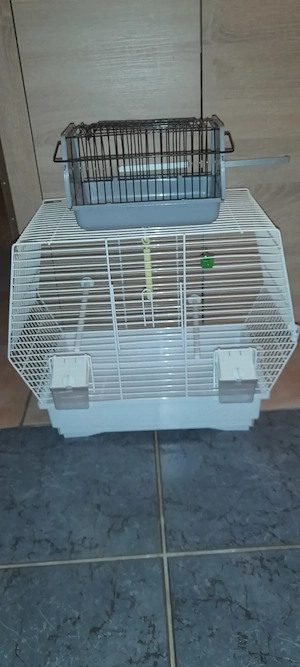Vogel und Transportkäfig