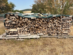 Brennholz zu verkaufen