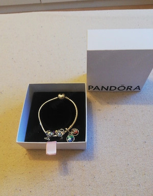 Pandora Armband 