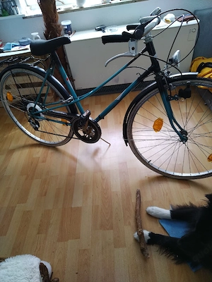 Vintage Fahrrad 28 Zoll