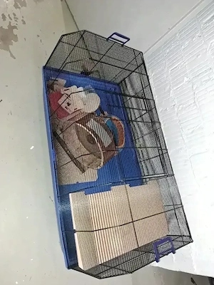 Hamster Käfig 