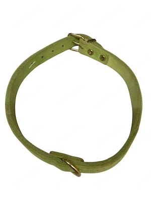 Hundehalsband von Karlie