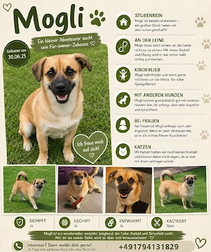 Mogli 1jahr 