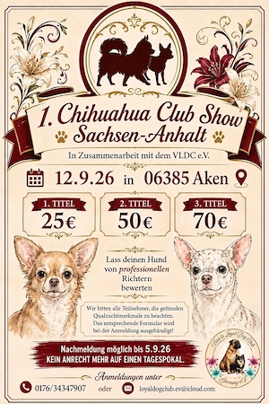 Sonderausstellung für Chihuahuas