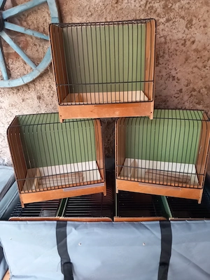 Ausstellungskäfige für Kanarienvögel