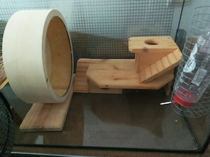 Verkaufe Hamster Mäuse Käfig
