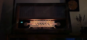Wunderschönes Vintage-Radio Rema 2001
