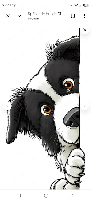 Hund gesucht 