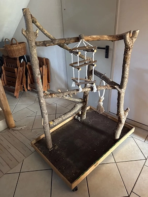 Papageien Freisitz auf Rollen!