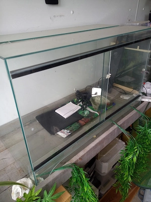 Terrarium zu verkaufen 