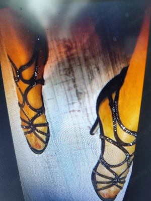 Sex in Nylons 