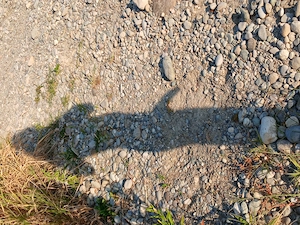 Suche gelegentliche erotische Treffen mit W