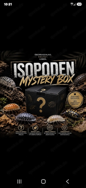 Isopoden Mystery Box 