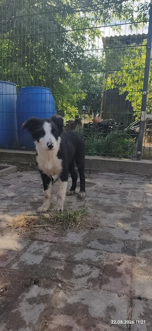 Wieso mag mich denn niemand? :(