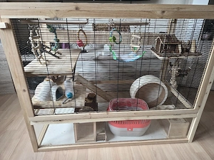 Mäuse Nagarium Gehege Bild 4