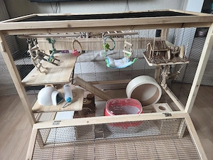Mäuse Nagarium Gehege Bild 2