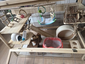 Mäuse Nagarium Gehege Bild 5