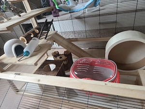 Mäuse Nagarium Gehege Bild 3