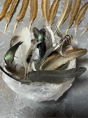 Echte Federn(Fasan)