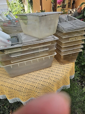 Macrolonkäfige