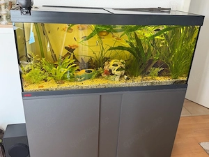 Komplettes Aquarium
