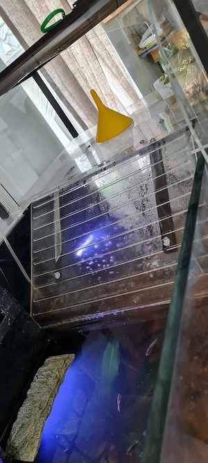 Turtle Topper, Plattform für Aquarium Bild 3