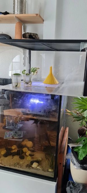 Turtle Topper, Plattform für Aquarium Bild 2