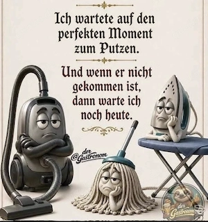 Haushaltshilfe, Putzhilfe, Putzfee, Zugehfrau, Ata-Girl ;)