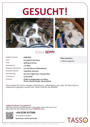 Seppi seit 11.7. vermisst 