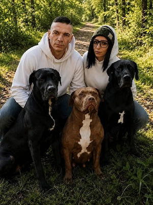 Erfahrenes & strukturiertes Rudel sucht American Bully (Welpe Junghund)   Katzen- & kinderlieb
