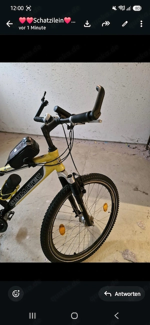 Germatec Herren Mountainbike 26 Zoll Funktioniert Einwandfrei 