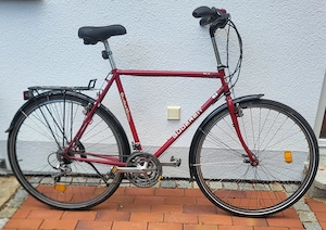 Herrenfahrrad - Trekking