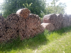 Brennholz Fichte