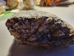 schiefersteine fur terrarium