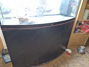 juwel Aquwarium 270 l 