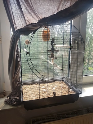 Vögel Käfig 