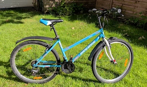 28 Herren Pegasus rad und 26 damen und Jungen mountenbike 