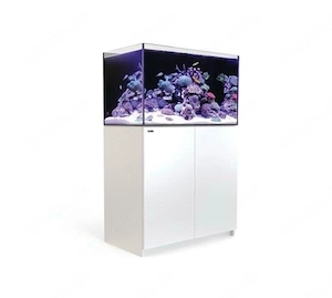 Red Sea Reefer 250 G2+   Meerwasseraquarium