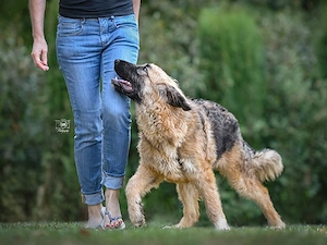 Lilu sucht ihr Zuhause Bild 5
