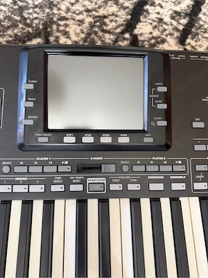 Korg Pa3X-61 Professional Arranger - 256 MB Sample-RAM