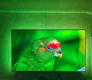 65 Zoll 120 Hz OLED Phillips mit Ambilight 