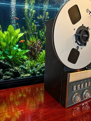 REVOX Tonbandgerät Modell A77  Bild 2