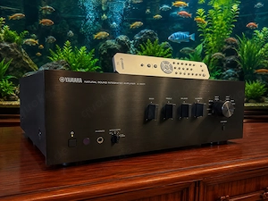 Yamaha A-S501 HiFi Stereo Vollverstärker Schwarz.
