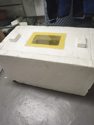 Inkubator Eigenbau