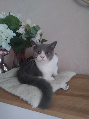 Yuki und Elfie suchen liebevolle Familie Familien 
