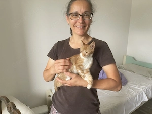 Ron   kleiner Kuschelkater sucht seine Familie