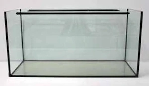 Suchen Aquarium 50 x 30 x 30 cm