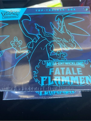 ETB fataler Flamen Pokemon