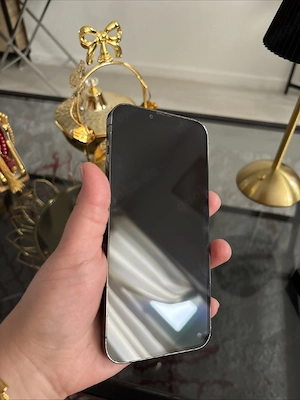 iPhone 13 pro max 256Go 