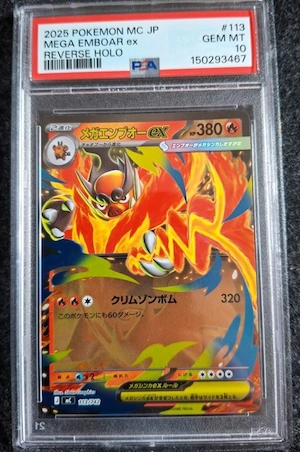 Pokemon Karte  Mega Ernboar ex 113 zu verkaufen 